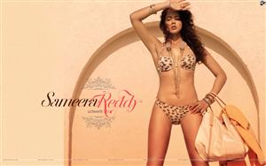 Sameera Reddy